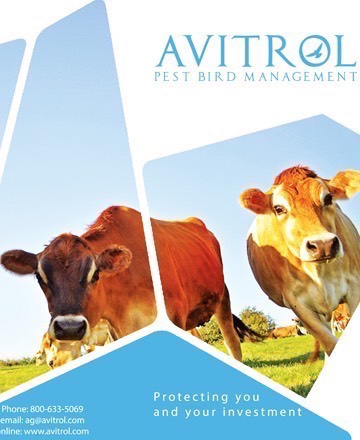 Agricultural Benefits of Using Avitrol