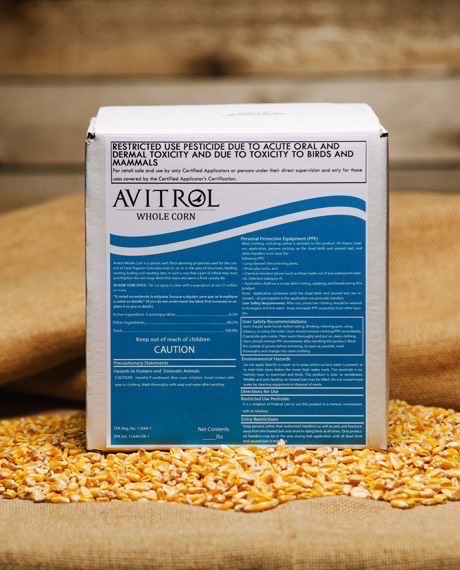 Avitrol Whole Corn